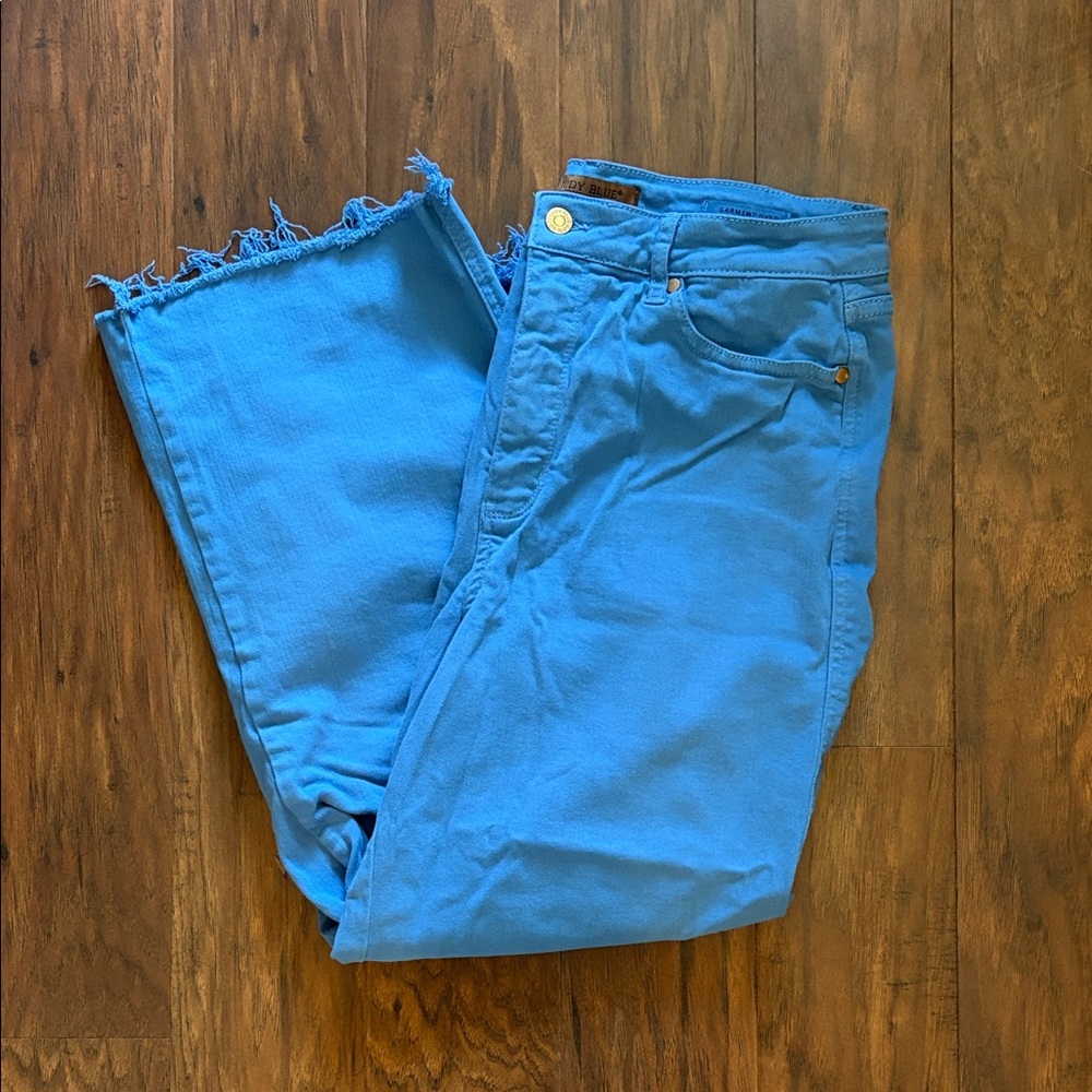 Judy Blue pants